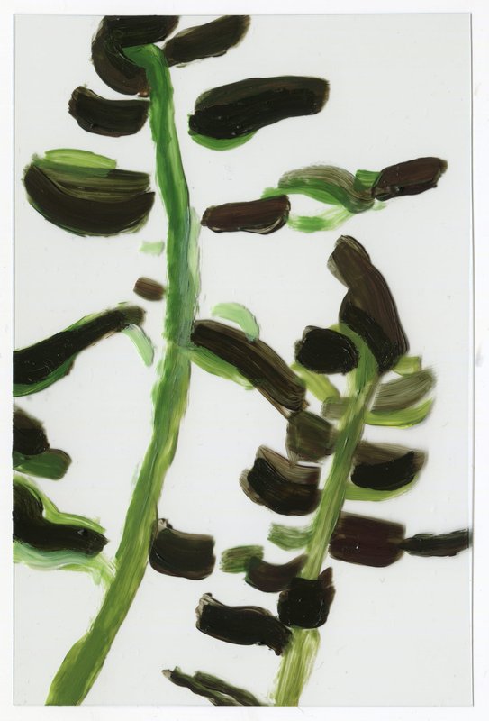 Alex Fischer, Vii A3 Acrylic on Acrylic, 2015-02-23